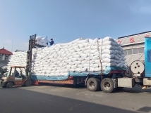 把握機遇、鉚足干勁、承勢而上