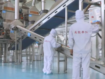 2025年的第一個月，承德亞歐果仁有限公司在山杏產(chǎn)業(yè)的道路上持續(xù)奮進，展現(xiàn)出蓬勃的發(fā)展活力。